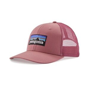 Patagonia trucker hat